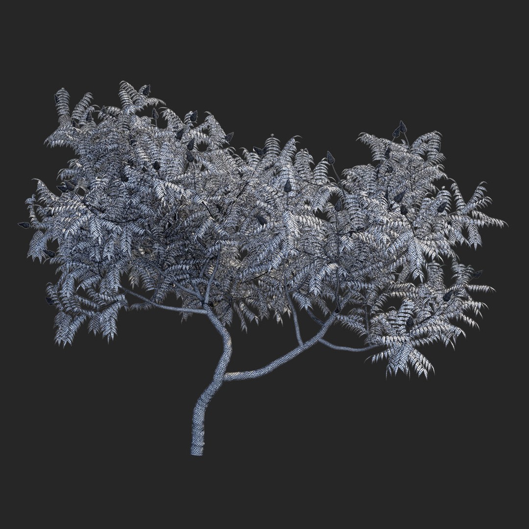 Rhus Typhina 3D Model – High Poly Tree Asset, FBX & OBJ - View 8