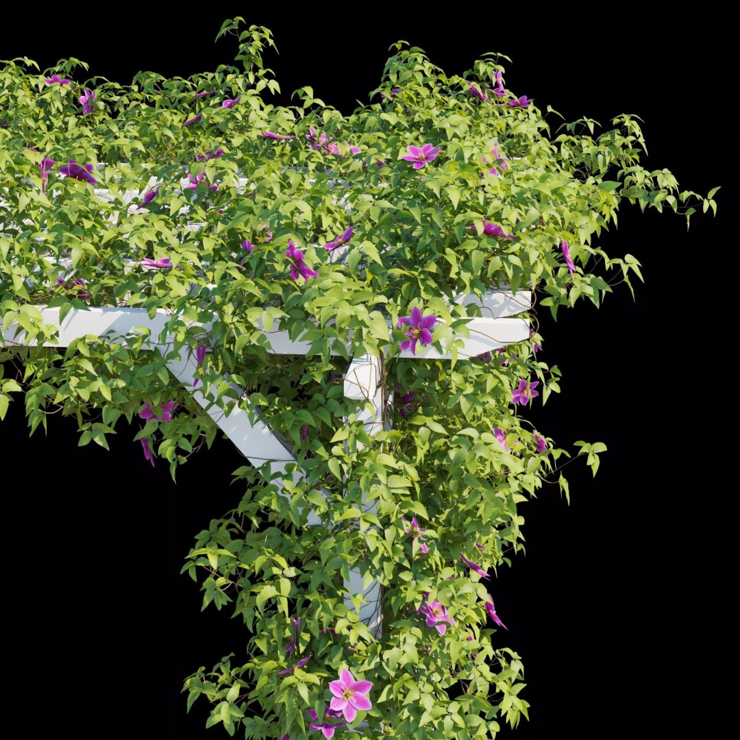Clematis Vines 3D Model – High Poly PBR Asset for Garden Design