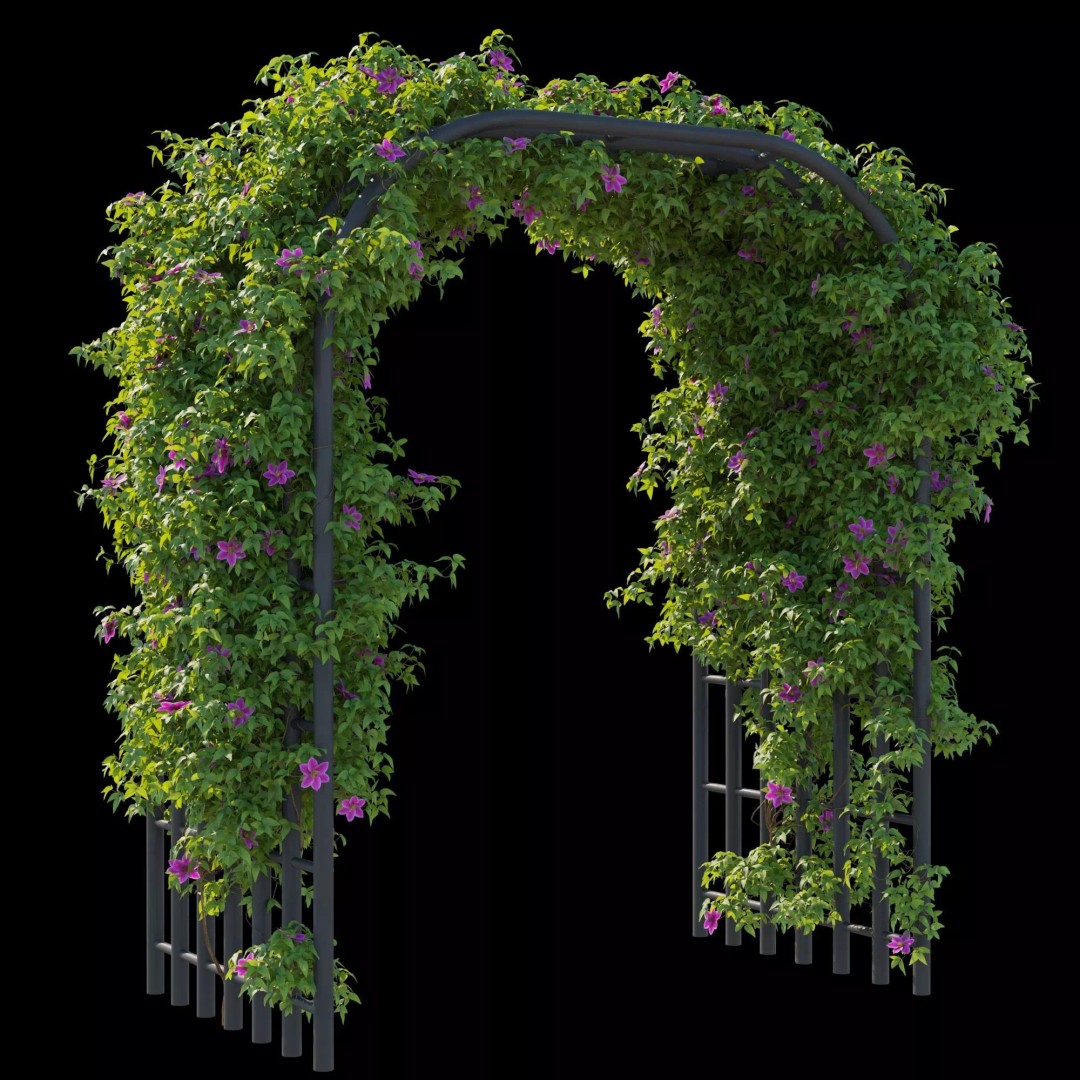 Clematis Vines 3D Model – High Poly PBR Asset for Garden Design - View 10