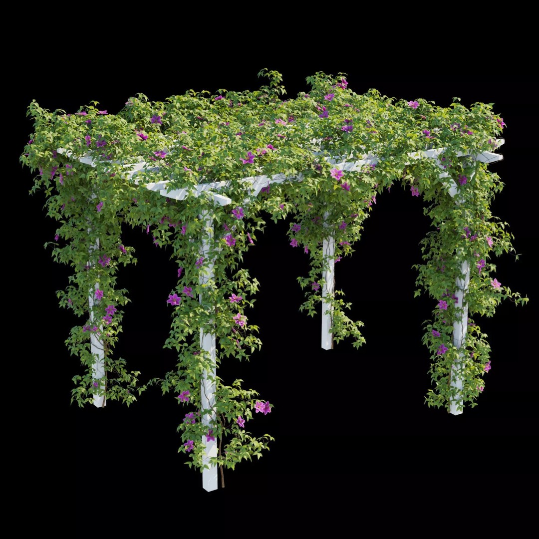 Clematis Vines 3D Model – High Poly PBR Asset for Garden Design - View 11