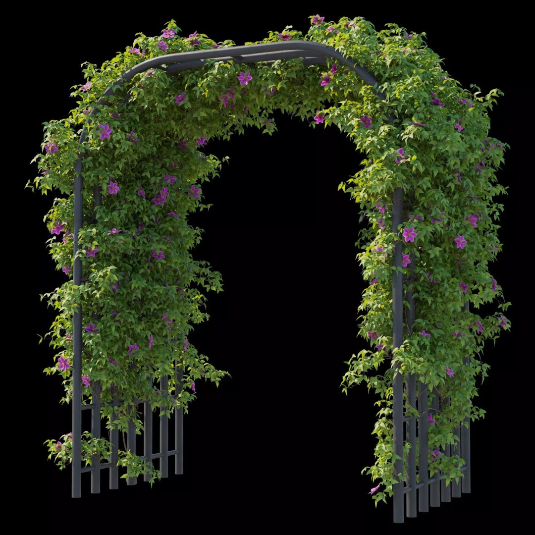 Clematis Vines 3D Model – High Poly PBR Asset for Garden Design - View 12