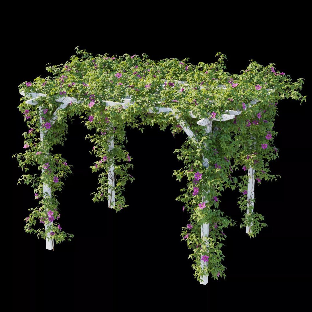 Clematis Vines 3D Model – High Poly PBR Asset for Garden Design - View 13