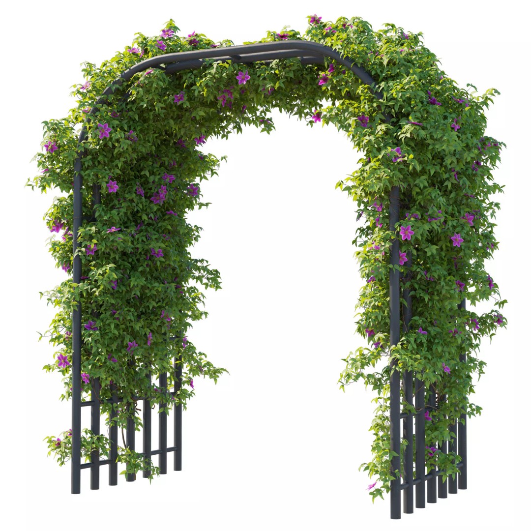 Clematis Vines 3D Model – High Poly PBR Asset for Garden Design - View 2
