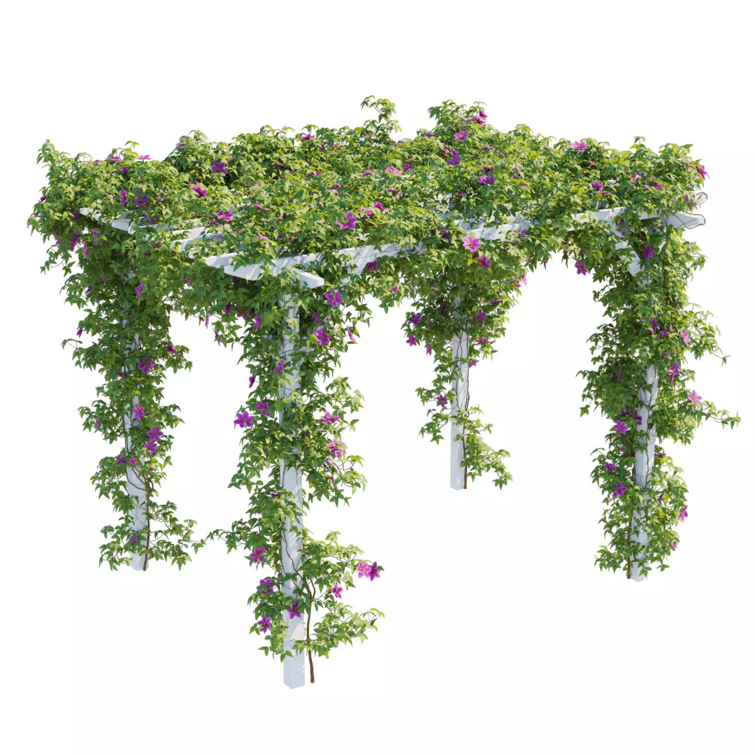 Clematis Vines 3D Model – High Poly PBR Asset for Garden Design - View 3