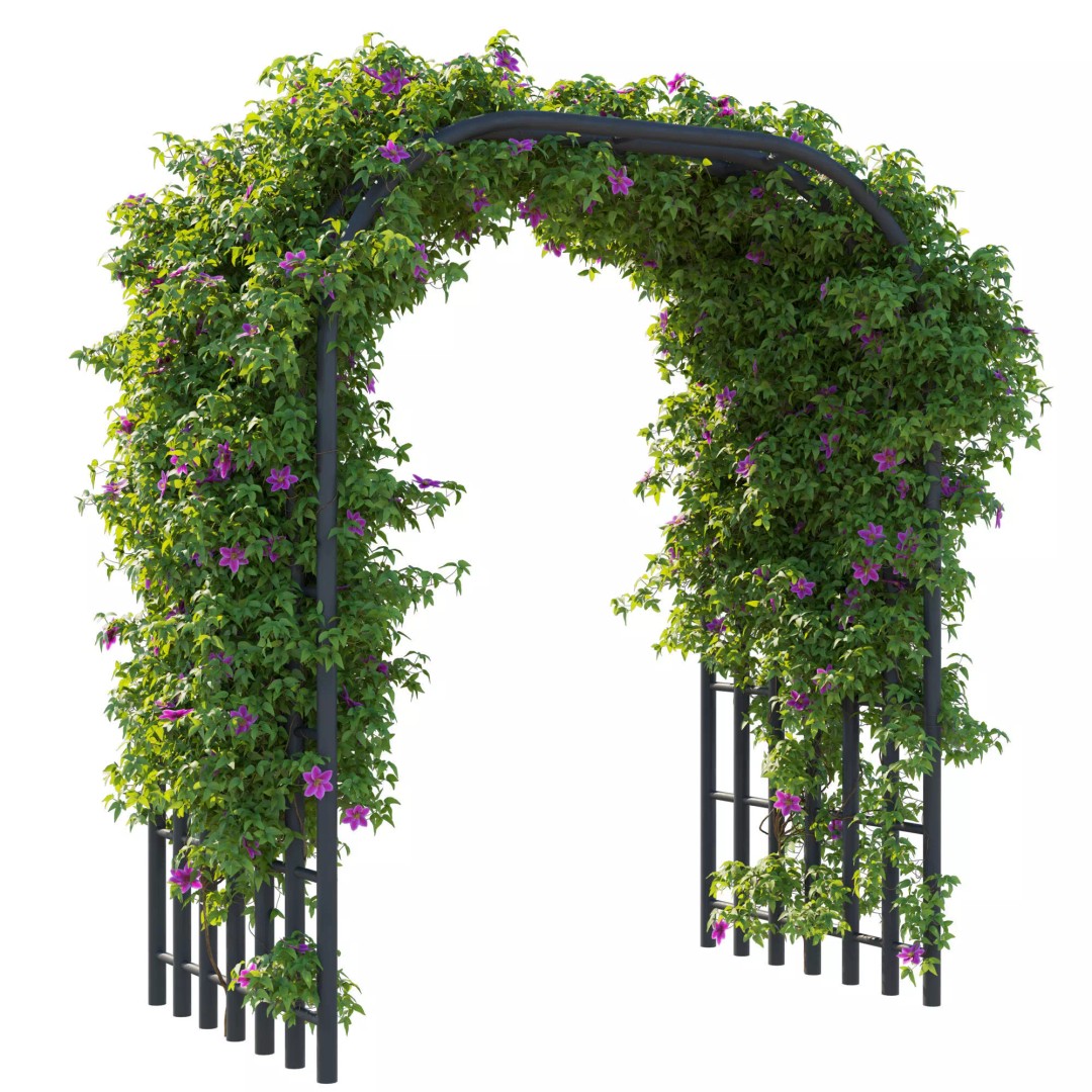 Clematis Vines 3D Model – High Poly PBR Asset for Garden Design - View 4