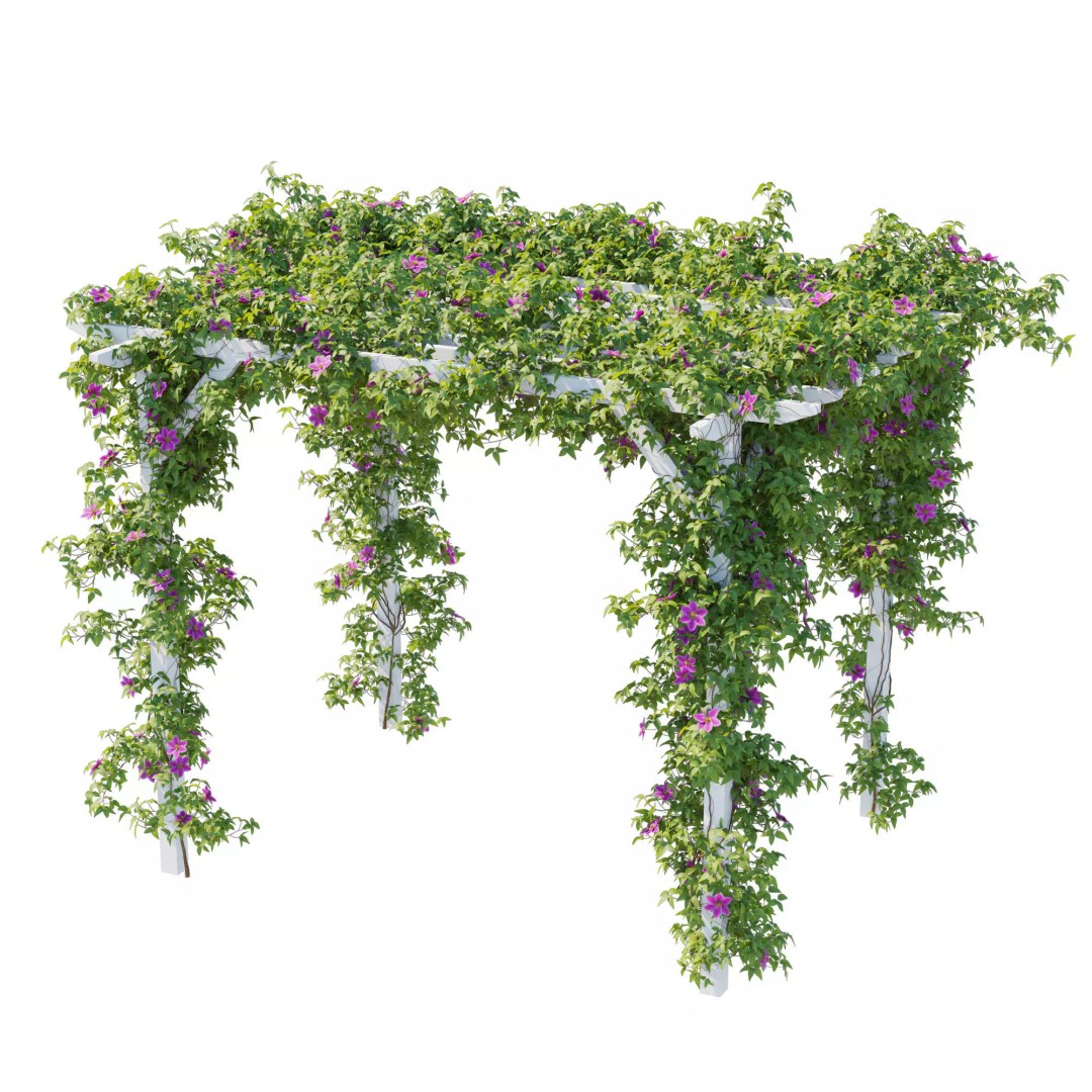 Clematis Vines 3D Model – High Poly PBR Asset for Garden Design - View 5