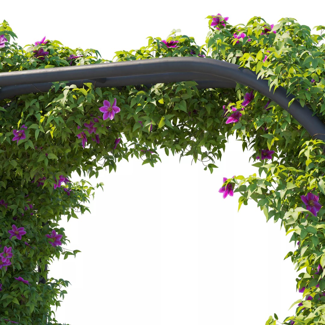 Clematis Vines 3D Model – High Poly PBR Asset for Garden Design - View 6