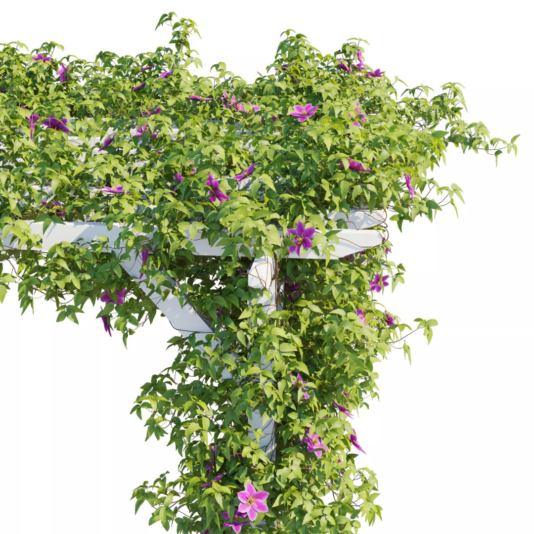 Clematis Vines 3D Model – High Poly PBR Asset for Garden Design - View 7