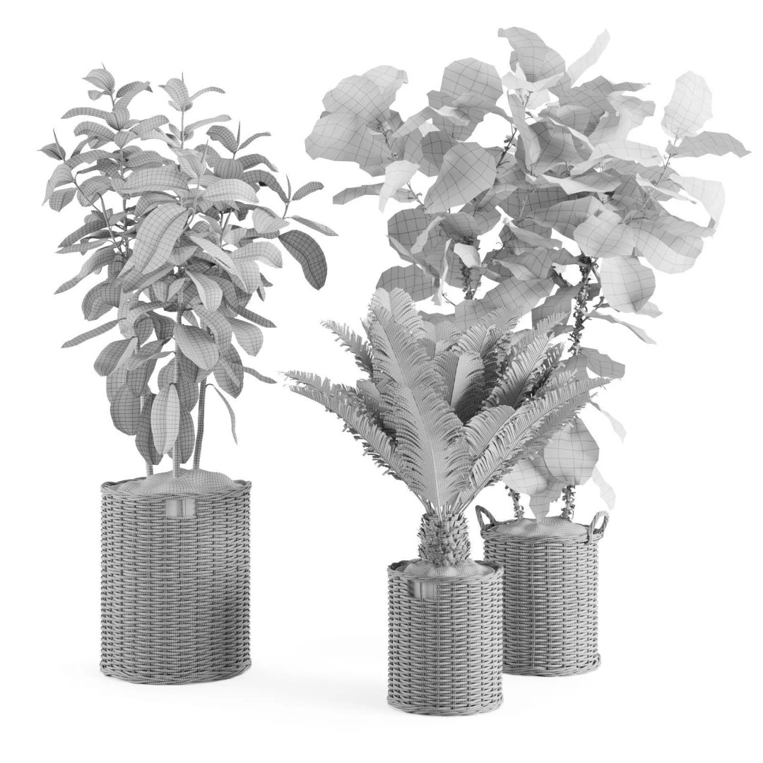 Tropical Plants 3D Model – Decorative Wicker Baskets, FBX, OBJ - View 3