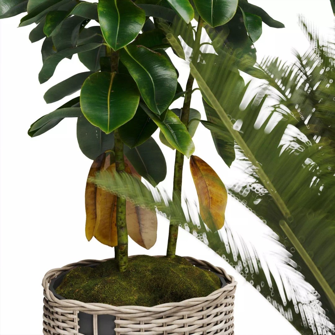 Tropical Plants 3D Model – Decorative Wicker Baskets, FBX, OBJ - View 7