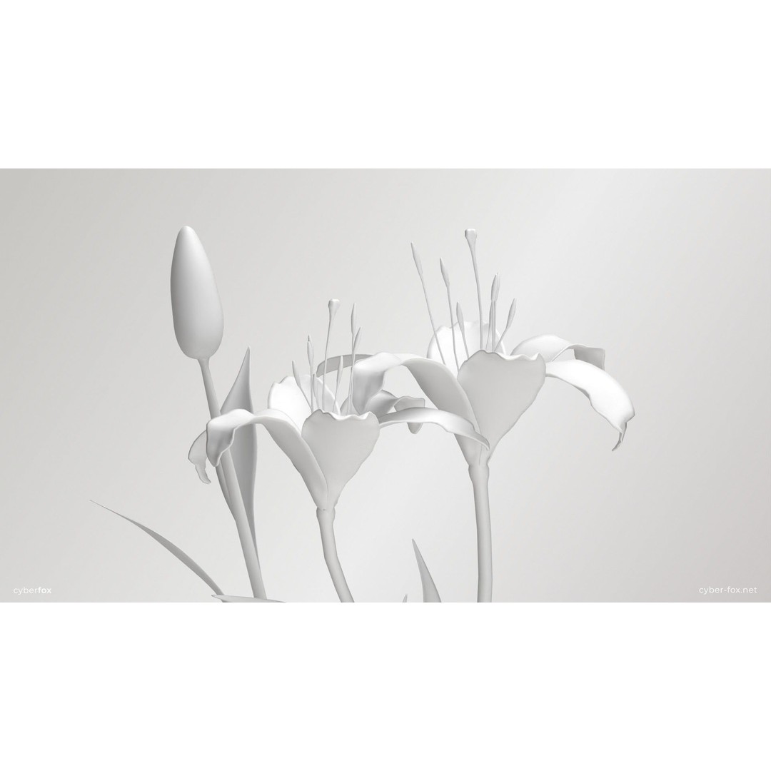Pink Lilies 3D Model – Low Poly Flower Asset, FBX, Game Ready - View 13