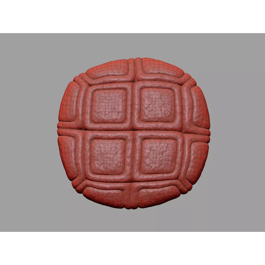 Acacia Pollen Grain 3D Model – Detailed SEM-Style Visualization, FBX - View 11