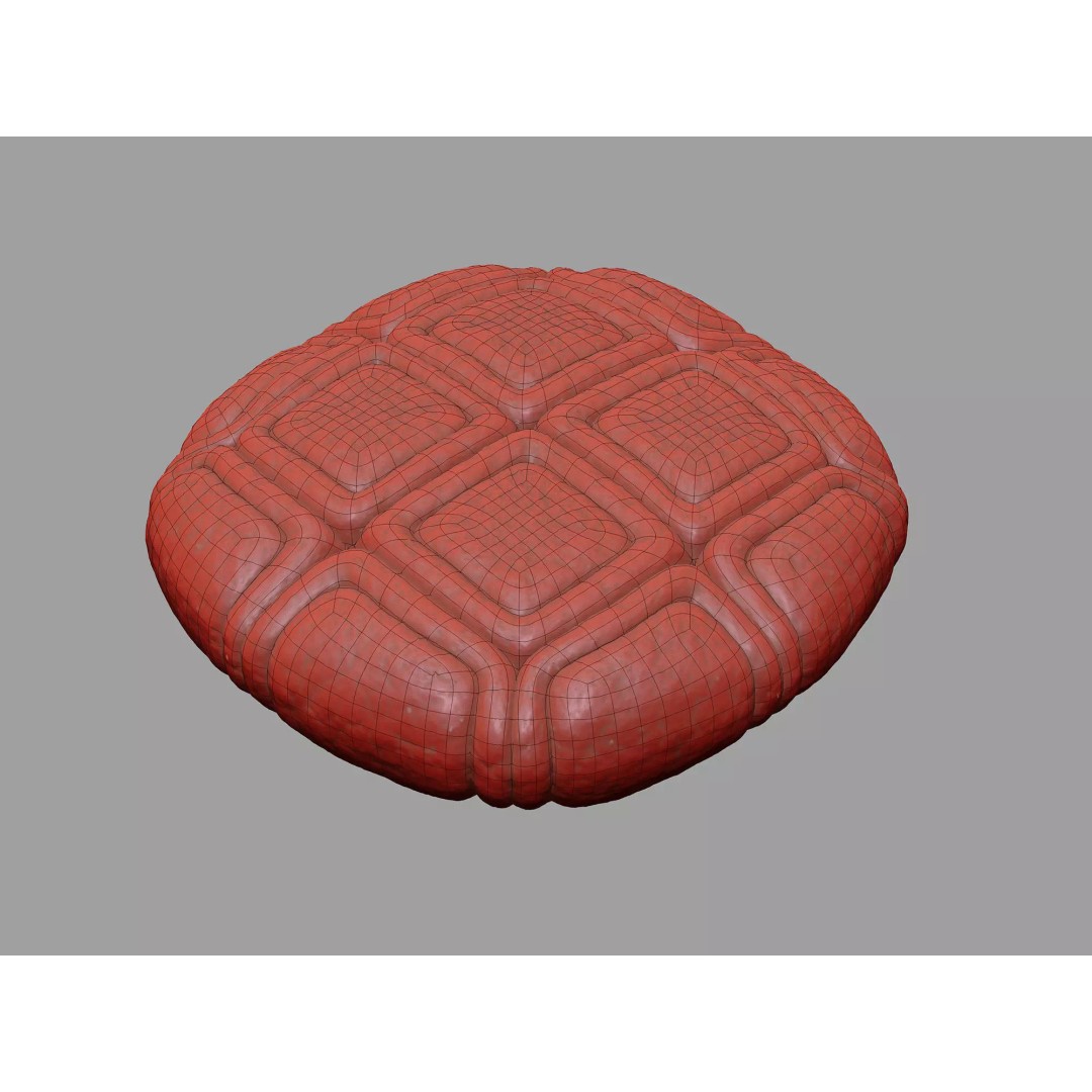 Acacia Pollen Grain 3D Model – Detailed SEM-Style Visualization, FBX - View 12