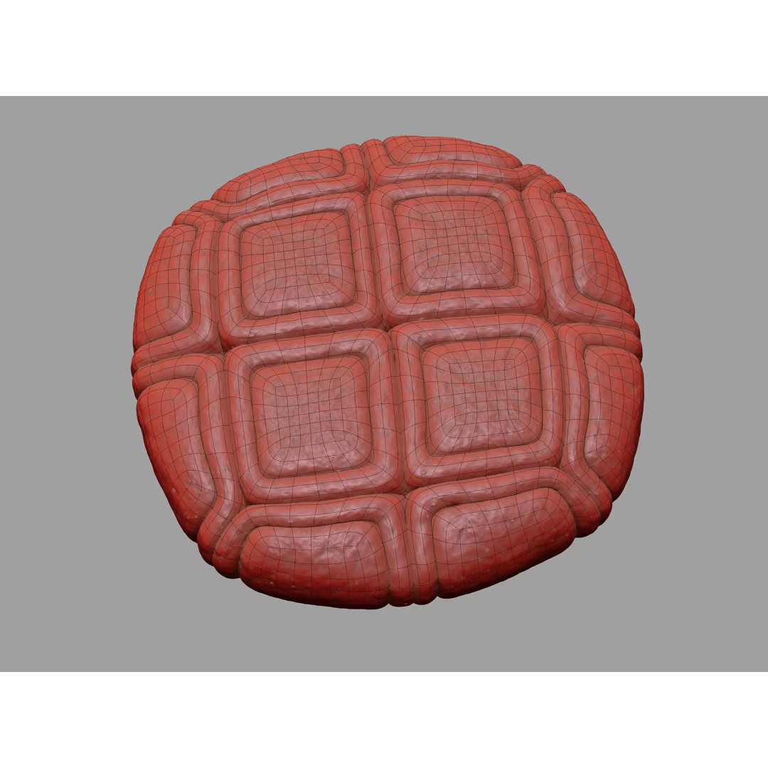 Acacia Pollen Grain 3D Model – Detailed SEM-Style Visualization, FBX - View 13