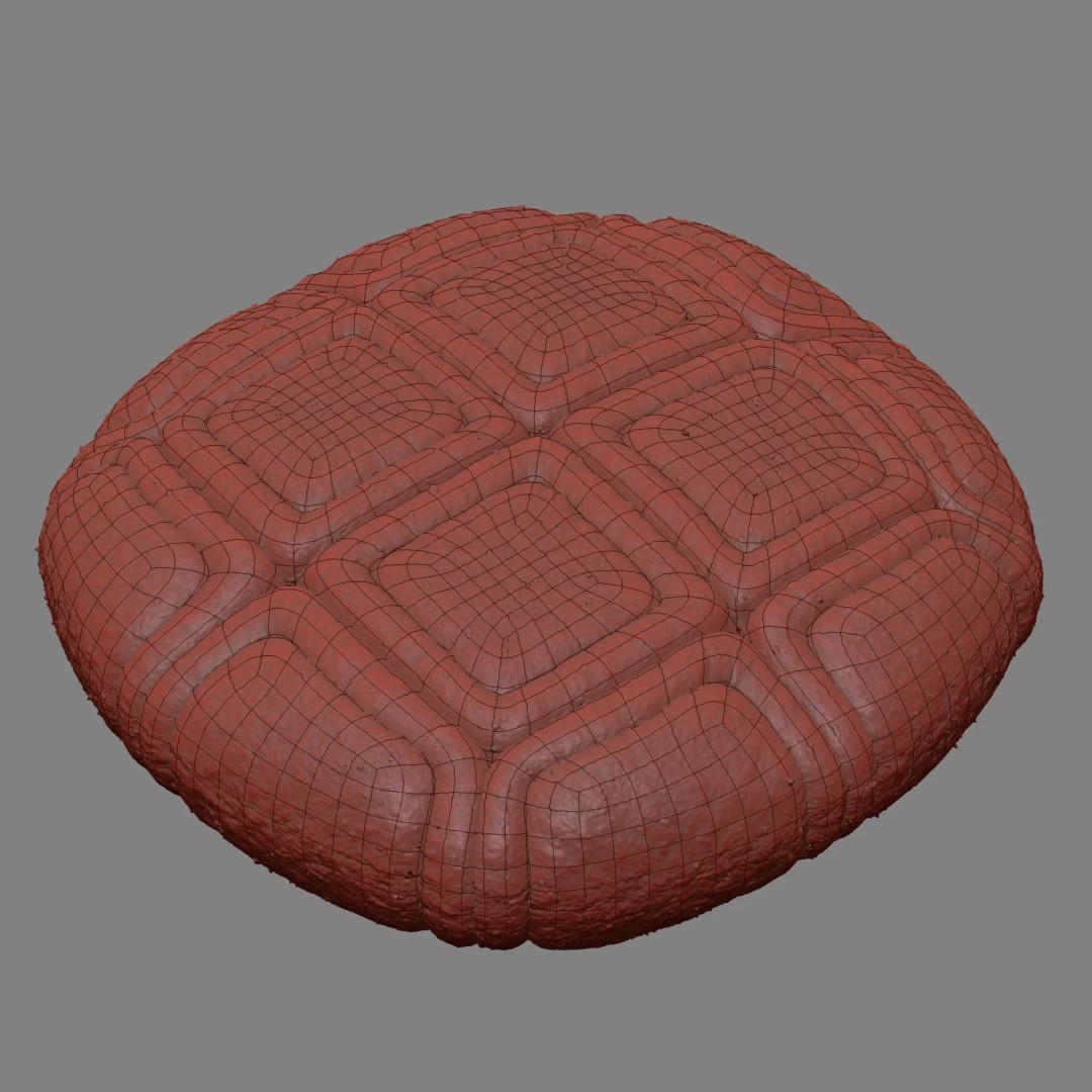 Acacia Pollen Grain 3D Model – Detailed SEM-Style Visualization, FBX - View 16