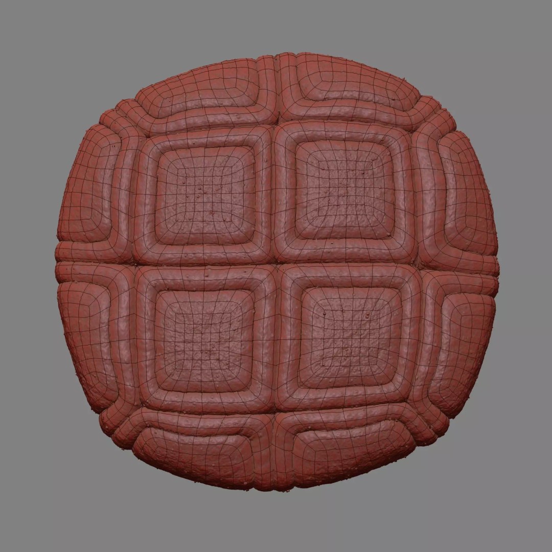 Acacia Pollen Grain 3D Model – Detailed SEM-Style Visualization, FBX - View 19