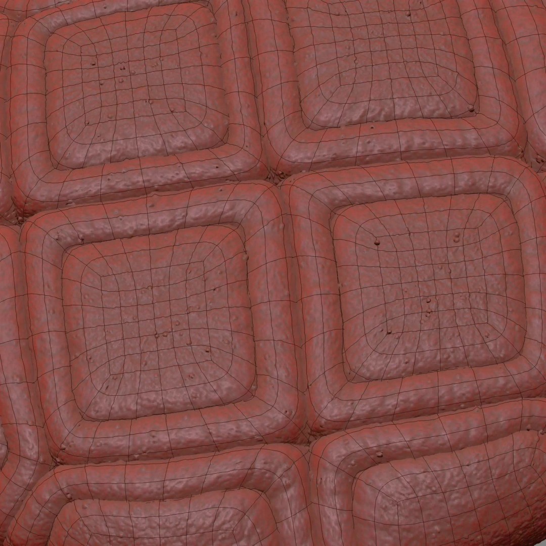 Acacia Pollen Grain 3D Model – Detailed SEM-Style Visualization, FBX - View 22