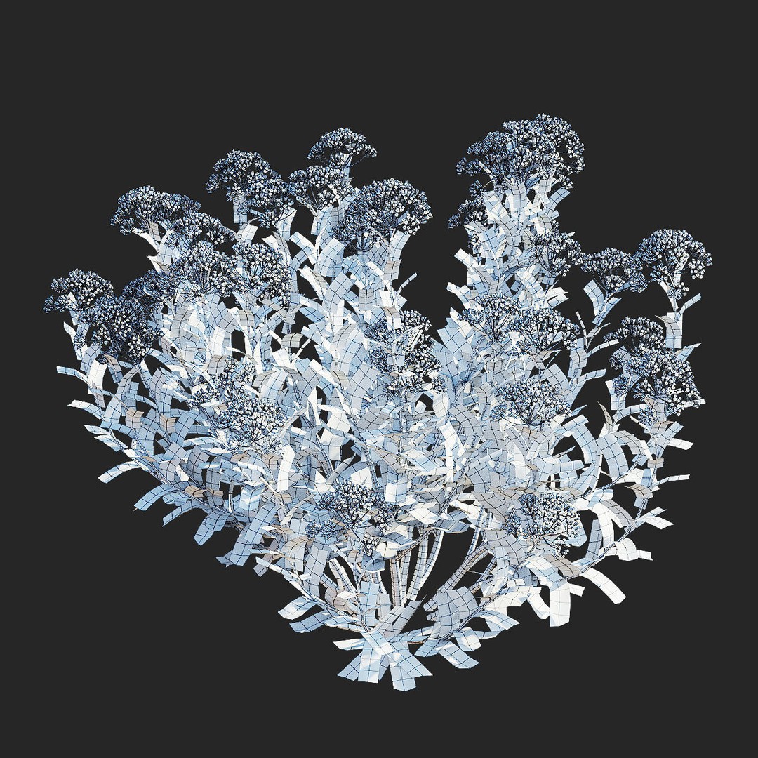 Bupleurum Fruticosum 3D Model – High Poly Plant Asset, FBX & OBJ Formats