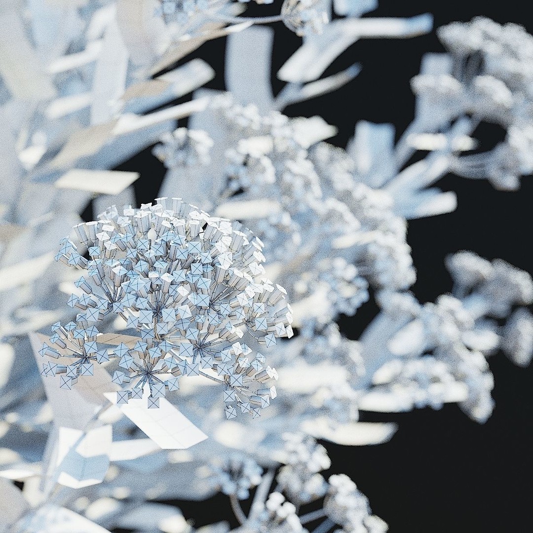 Bupleurum Fruticosum 3D Model – High Poly Plant Asset, FBX & OBJ Formats - View 12