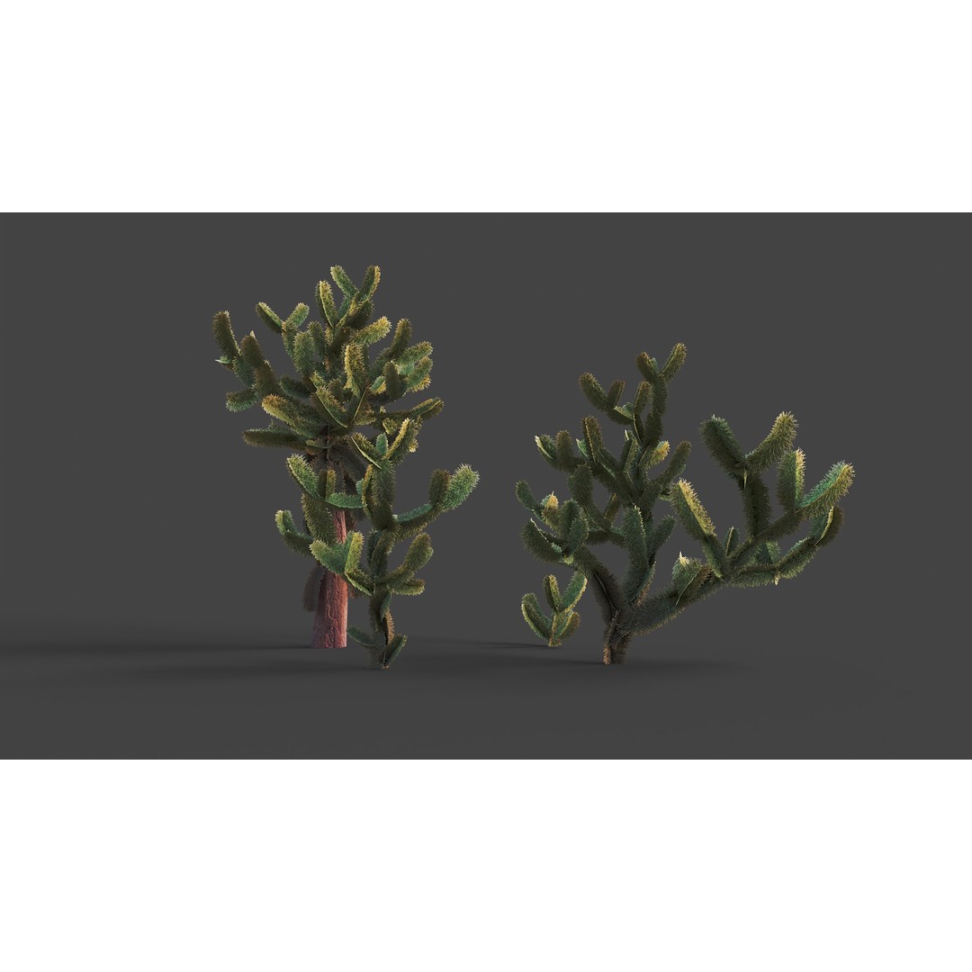 Jumping Cholla 3D Model – Low Poly Stylized Plant Asset, FBX
