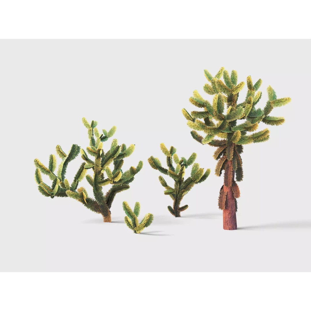 Jumping Cholla 3D Model – Low Poly Stylized Plant Asset, FBX - View 2