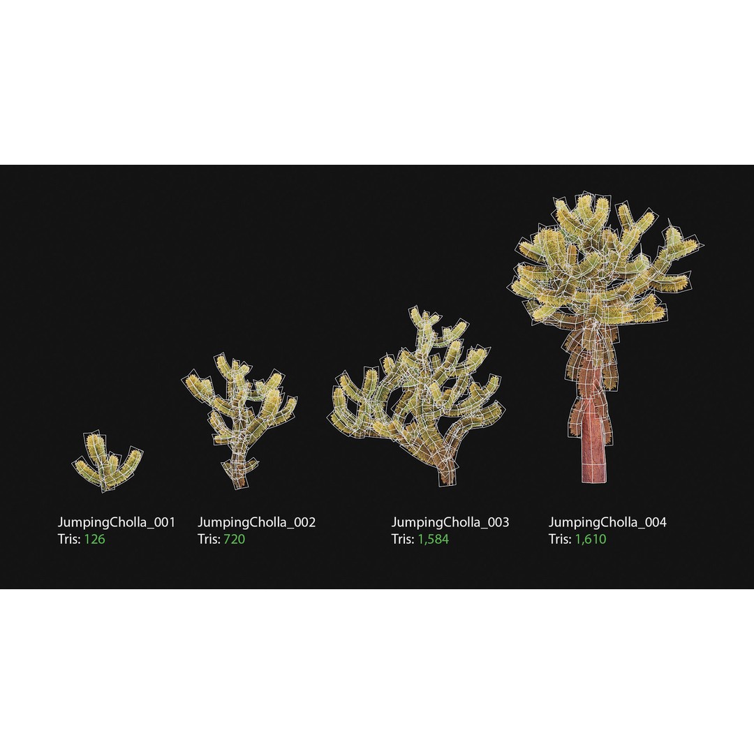 Jumping Cholla 3D Model – Low Poly Stylized Plant Asset, FBX - View 3