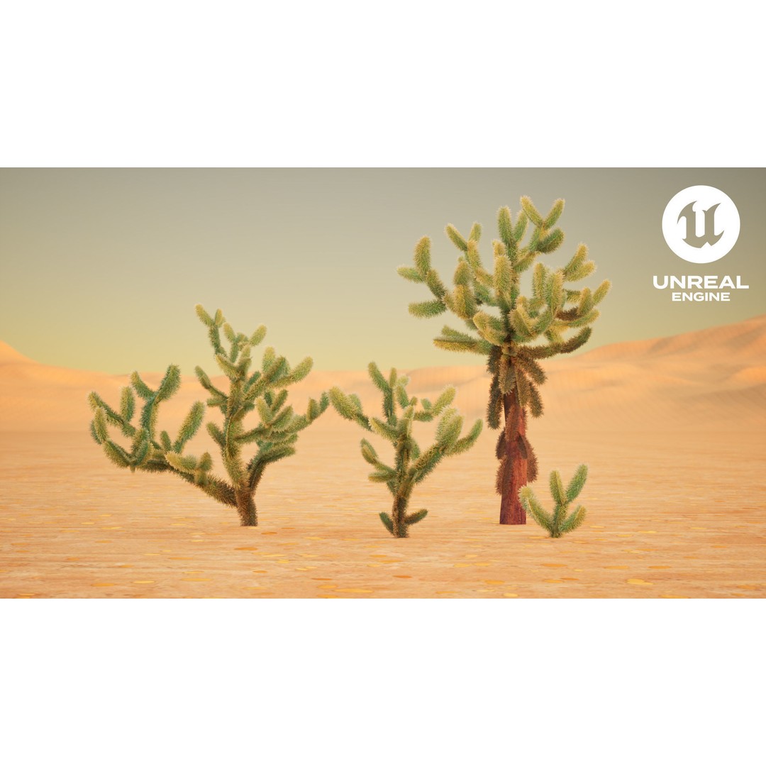 Jumping Cholla 3D Model – Low Poly Stylized Plant Asset, FBX - View 4