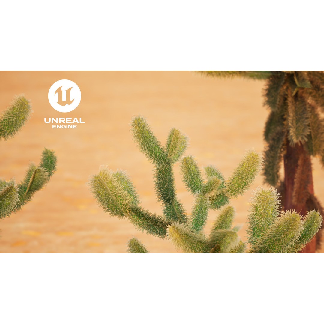 Jumping Cholla 3D Model – Low Poly Stylized Plant Asset, FBX - View 5