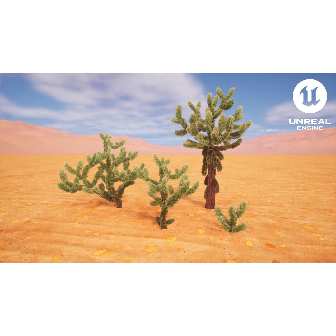 Jumping Cholla 3D Model – Low Poly Stylized Plant Asset, FBX - View 6