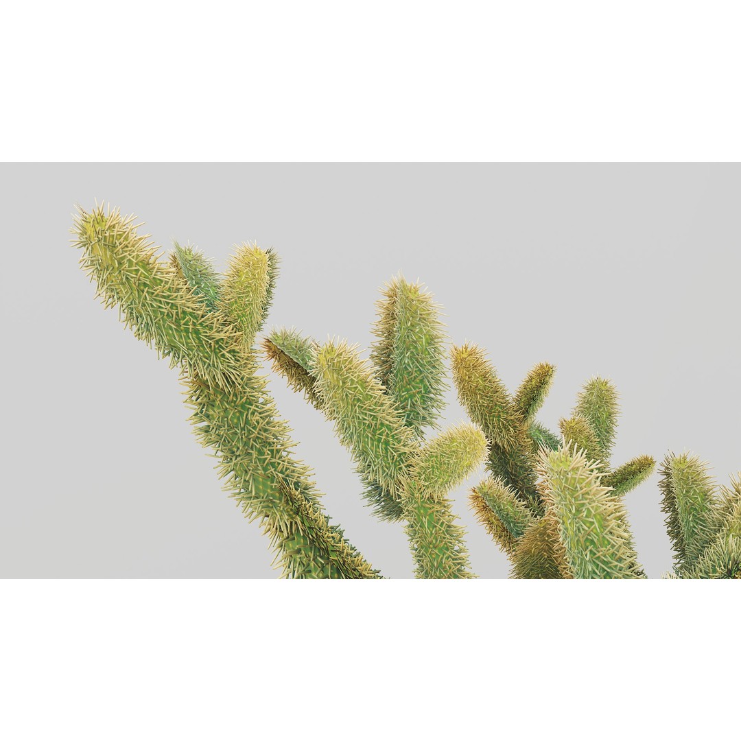 Jumping Cholla 3D Model – Low Poly Stylized Plant Asset, FBX - View 7