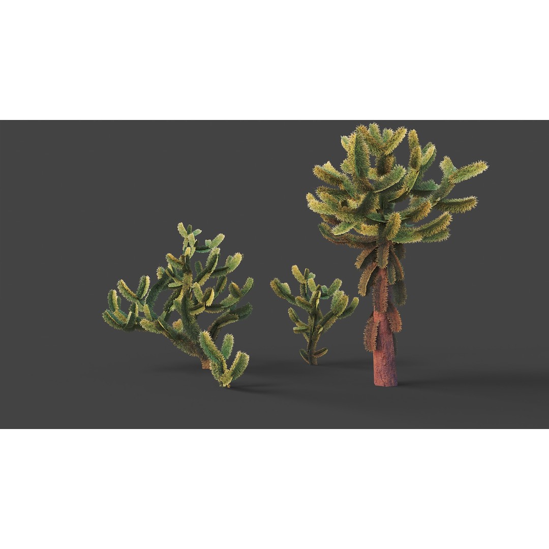 Jumping Cholla 3D Model – Low Poly Stylized Plant Asset, FBX - View 8