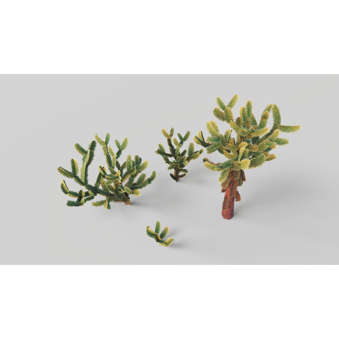 Jumping Cholla 3D Model – Low Poly Stylized Plant Asset, FBX - View 9