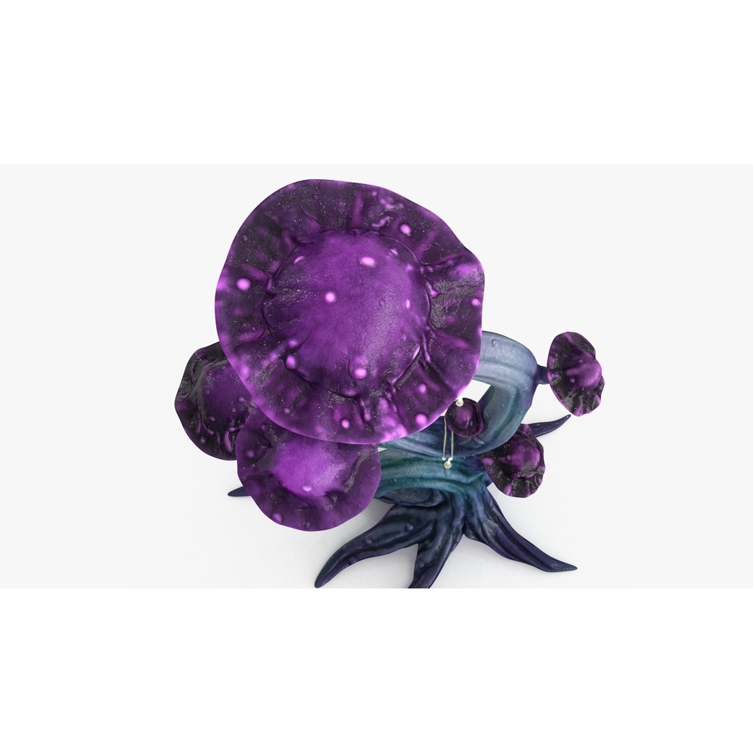 Magic Mushroom 3D Model – Low Poly Fantasy Plant, FBX & Blender - View 22