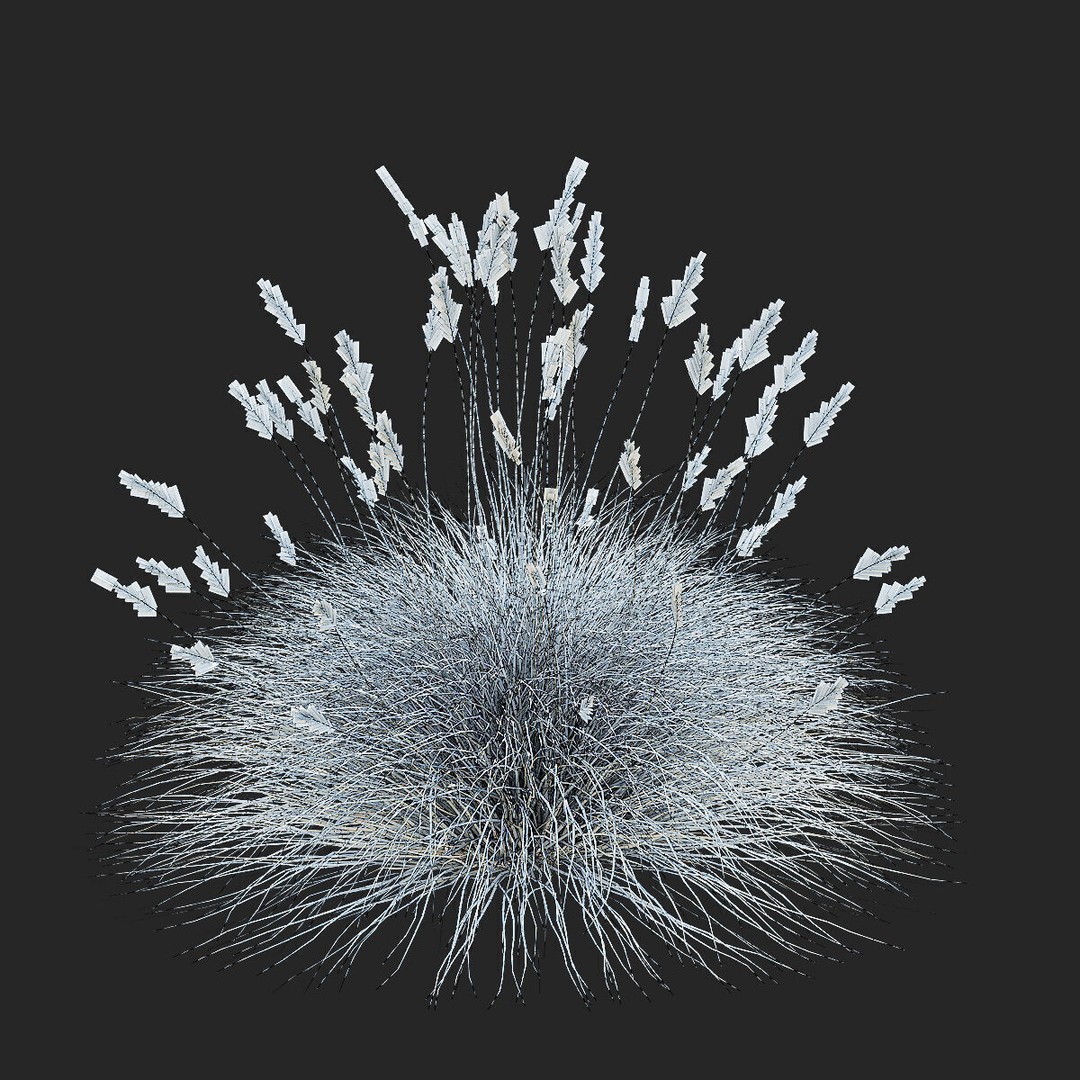 Festuca Glauca Grass 3D Model – High Poly PBR Asset, FBX & OBJ Formats - View 12