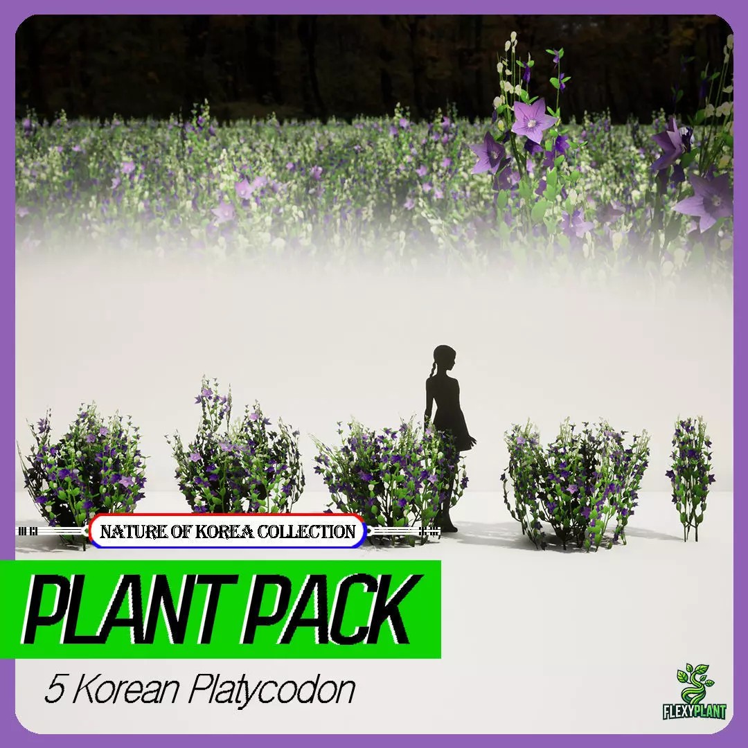 Korean Platycodon Flower 3D Model – Low Poly Game Asset, FBX - View 2