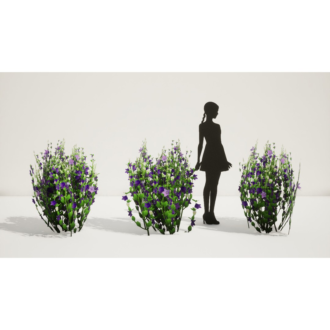 Korean Platycodon Flower 3D Model – Low Poly Game Asset, FBX - View 5