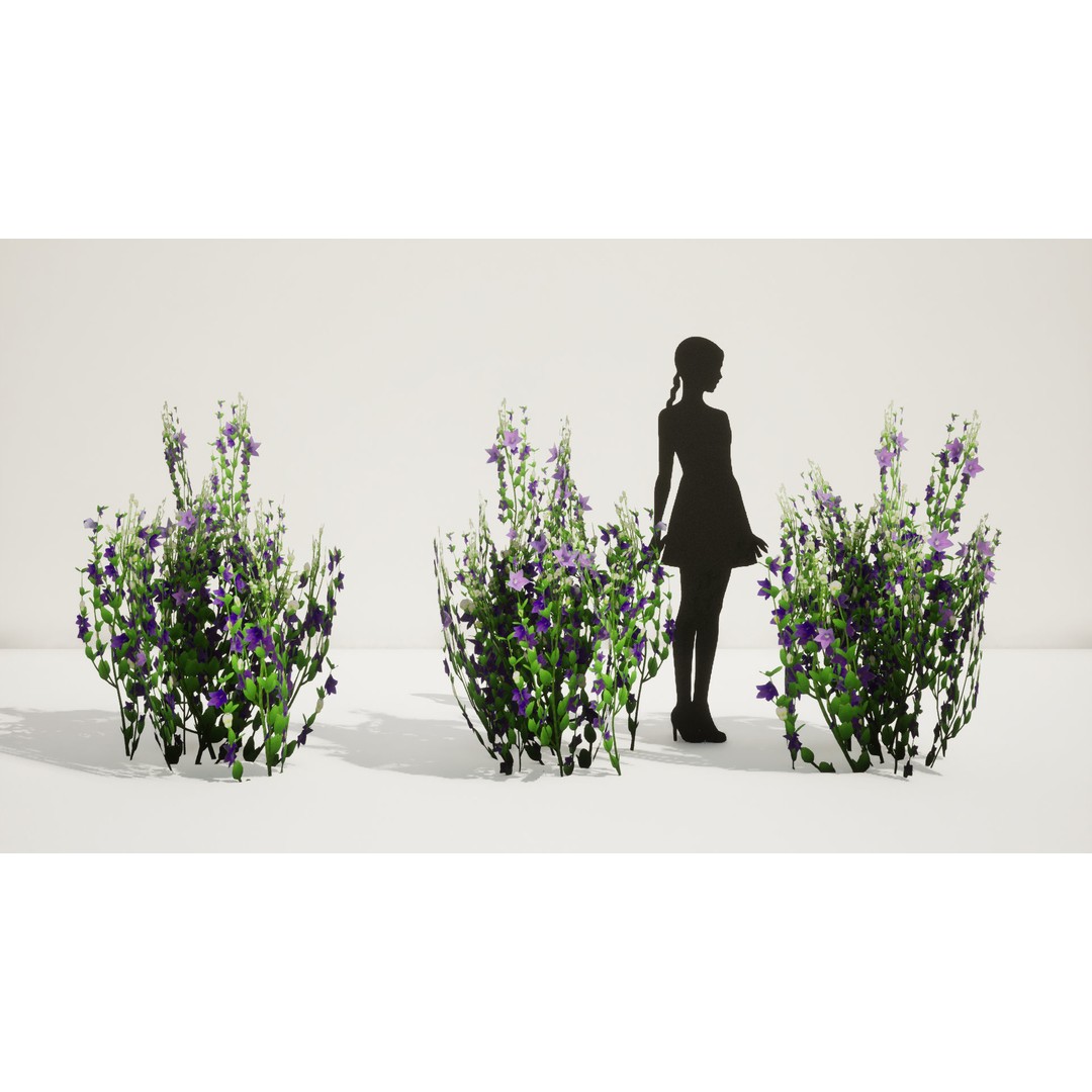 Korean Platycodon Flower 3D Model – Low Poly Game Asset, FBX - View 6