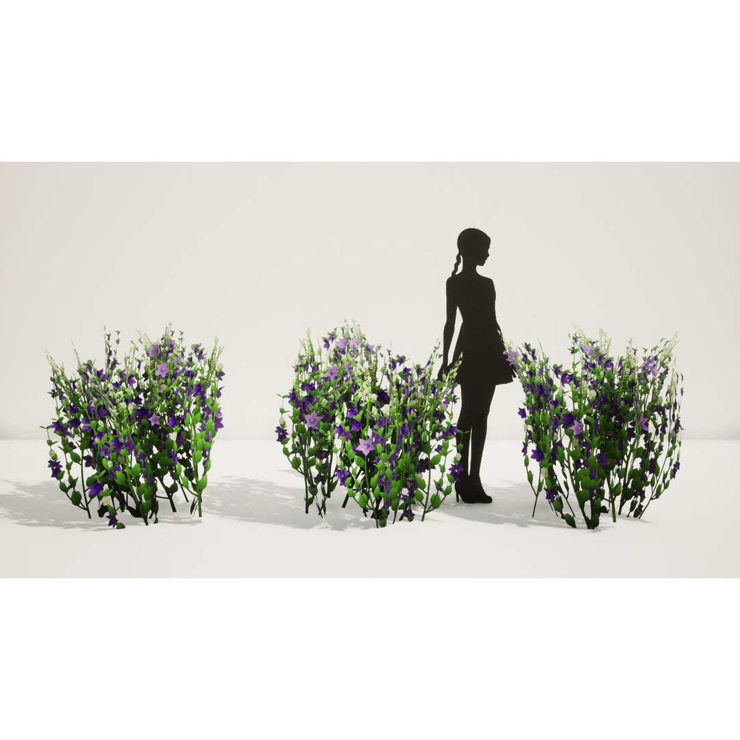 Korean Platycodon Flower 3D Model – Low Poly Game Asset, FBX - View 7