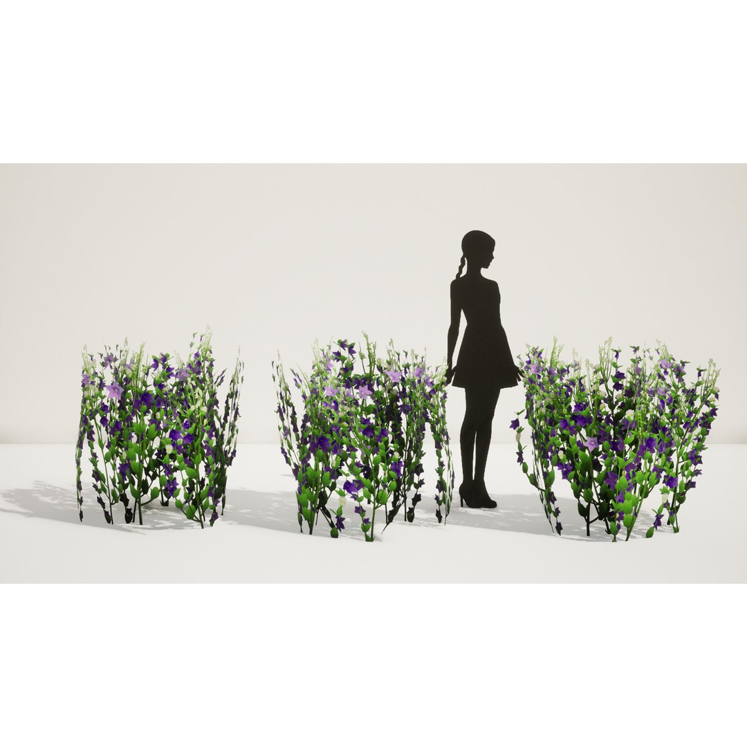 Korean Platycodon Flower 3D Model – Low Poly Game Asset, FBX - View 8