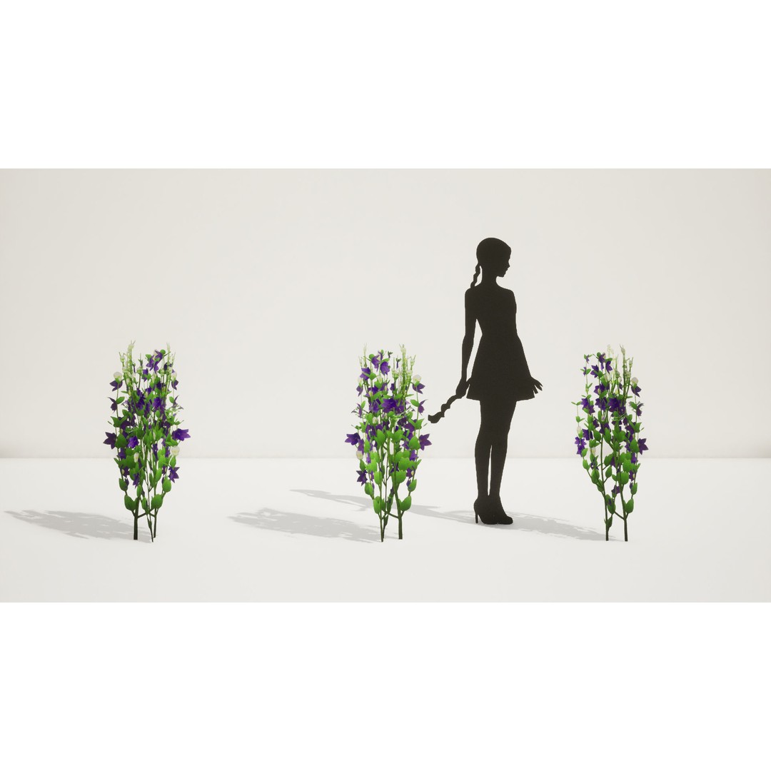Korean Platycodon Flower 3D Model – Low Poly Game Asset, FBX - View 9