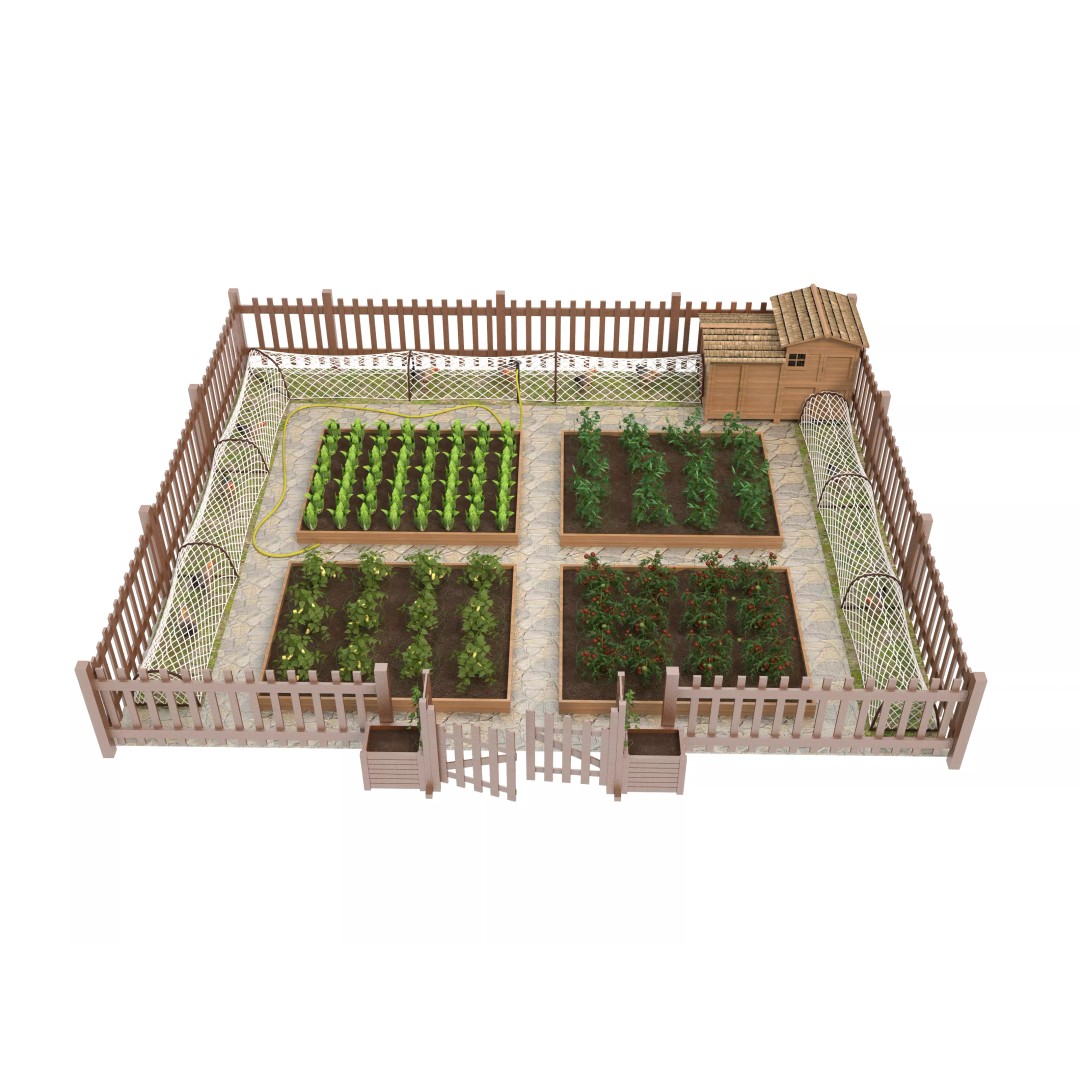 Edible Vegetable 3D Model – Realistic Game-Ready Asset, FBX & OBJ - View 2