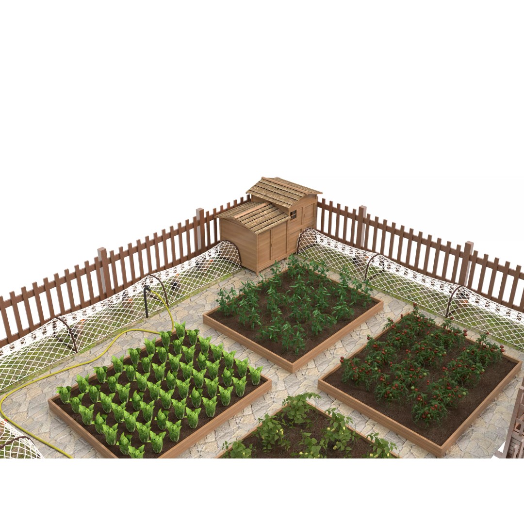 Edible Vegetable 3D Model – Realistic Game-Ready Asset, FBX & OBJ - View 4