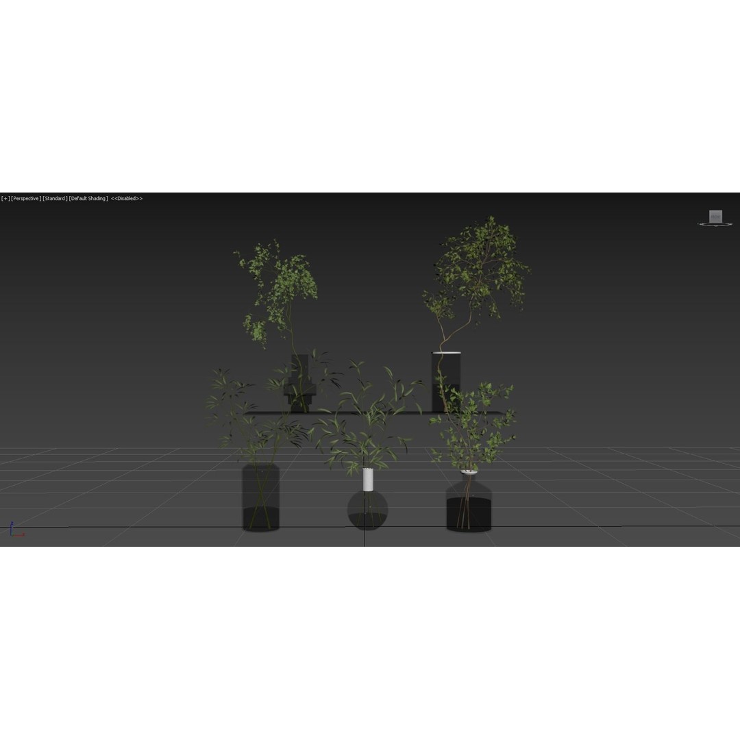 Indoor Plants 3D Model – High Poly PBR Asset, OBJ & 3Dmax - View 14