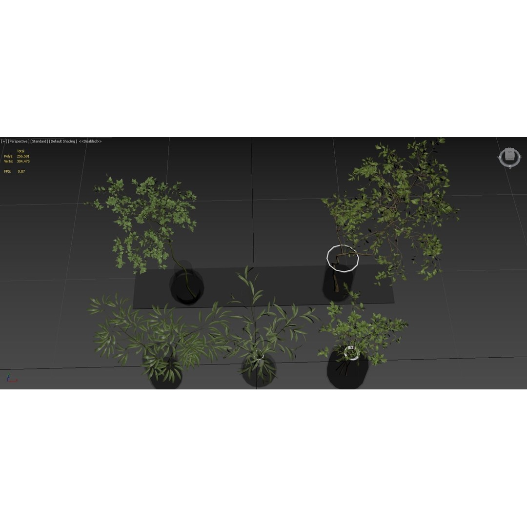 Indoor Plants 3D Model – High Poly PBR Asset, OBJ & 3Dmax - View 15