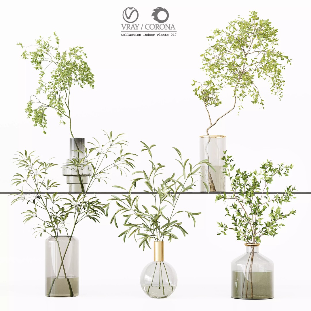 Indoor Plants 3D Model – High Poly PBR Asset, OBJ & 3Dmax - View 2