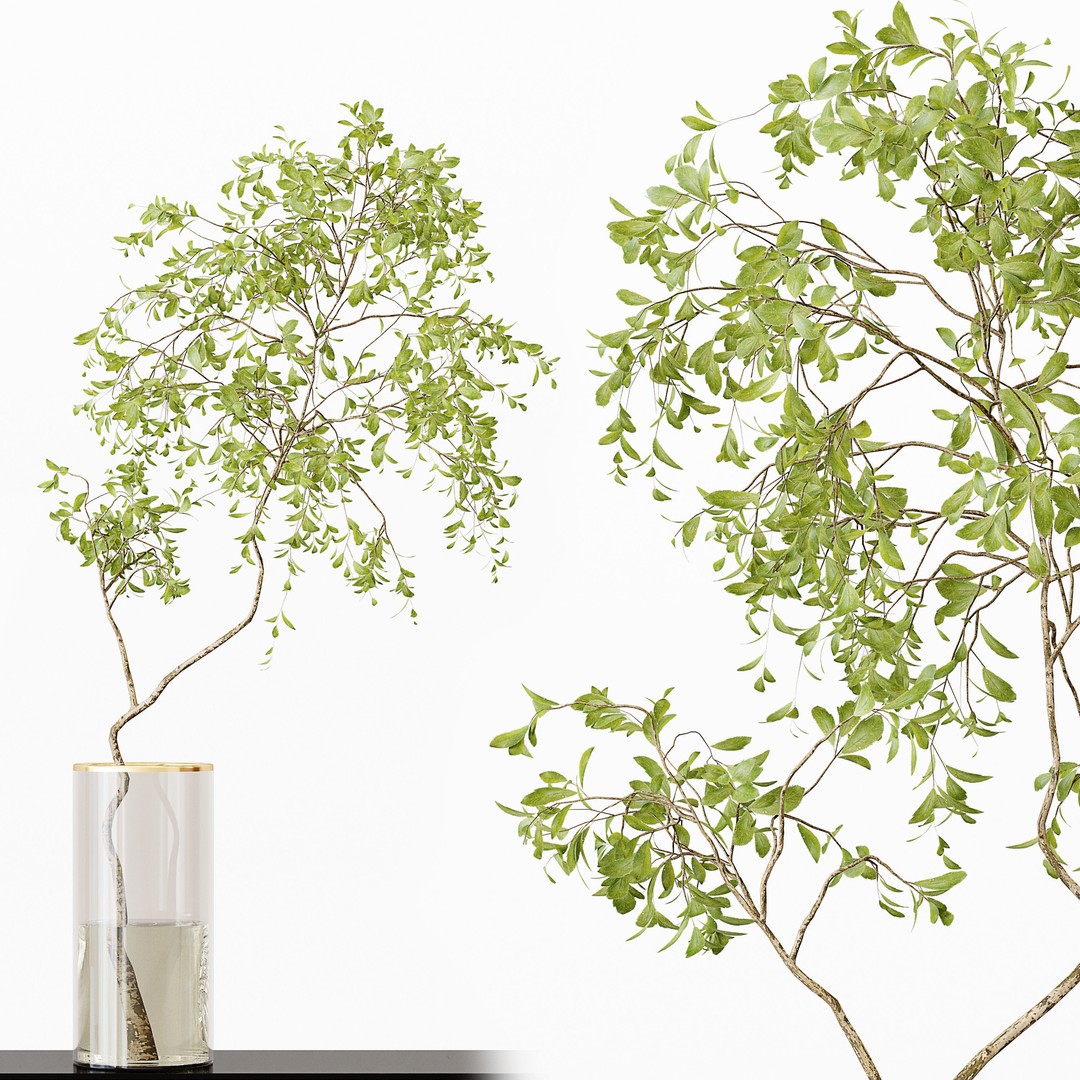 Indoor Plants 3D Model – High Poly PBR Asset, OBJ & 3Dmax - View 3