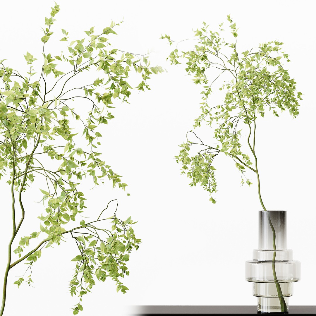 Indoor Plants 3D Model – High Poly PBR Asset, OBJ & 3Dmax - View 6