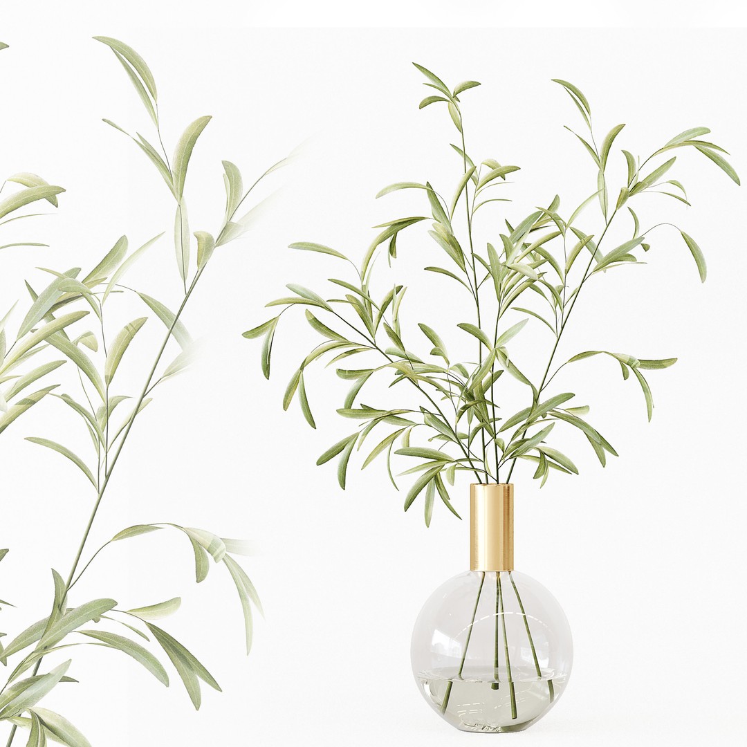 Indoor Plants 3D Model – High Poly PBR Asset, OBJ & 3Dmax - View 7