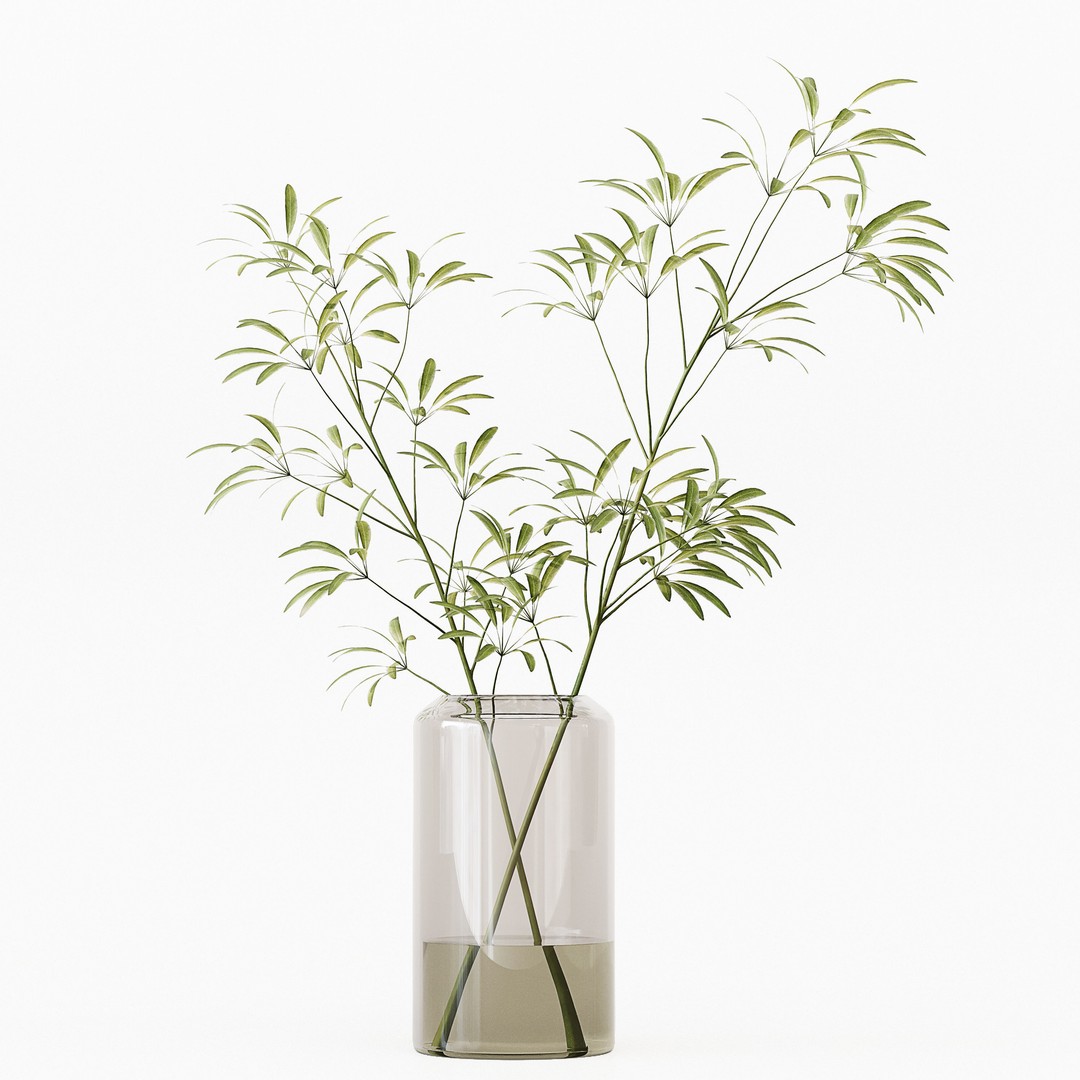 Indoor Plants 3D Model – High Poly PBR Asset, OBJ & 3Dmax - View 9