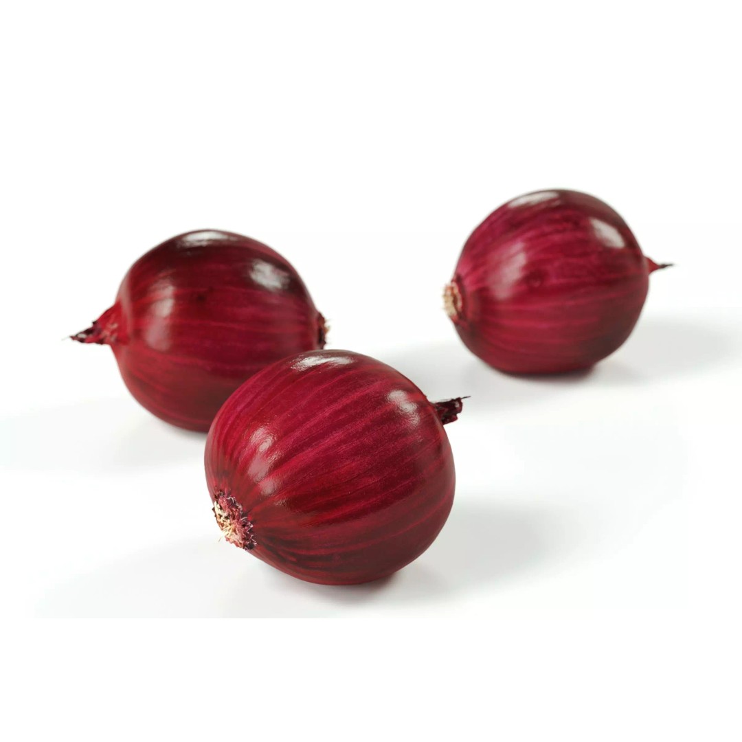 Red Onion 3D Model – Peeled Vegetable Asset, PBR, FBX, OBJ - View 2